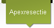 Apexresectie